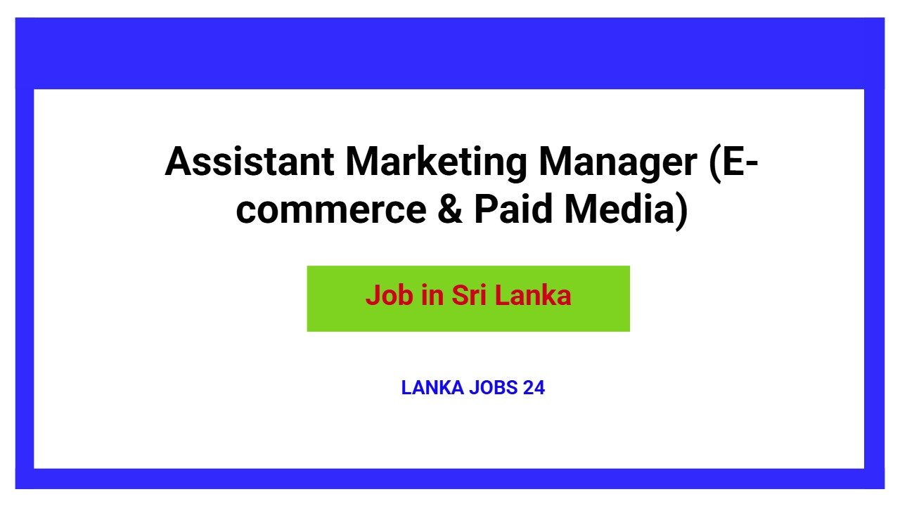 Assistant Marketing Manager (E-commerce & Paid Media)
